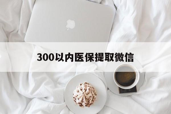 六安300以内医保提取微信(300以内医保提取微信离职可以用吗)